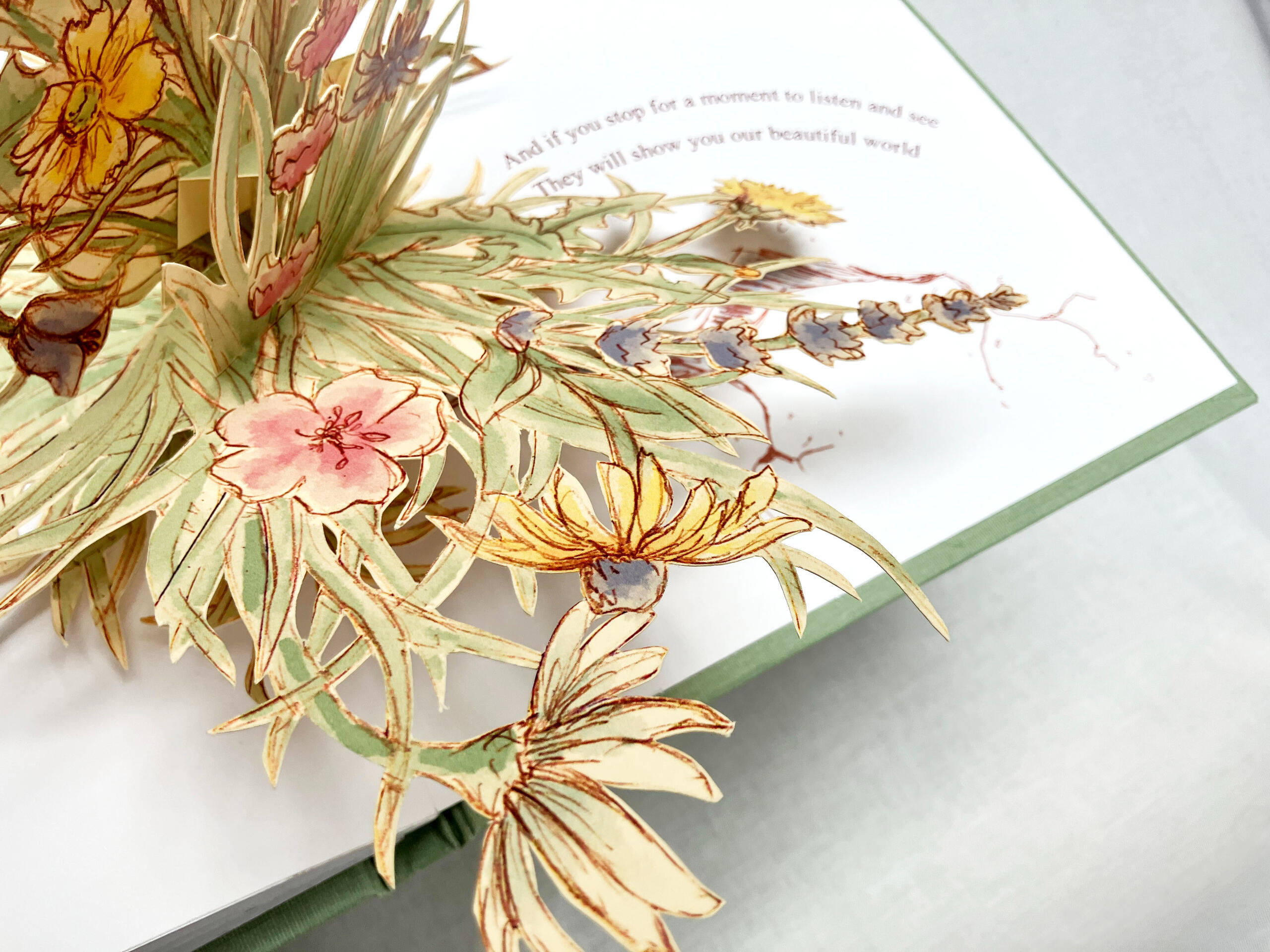 In the Shell of a Life Passed